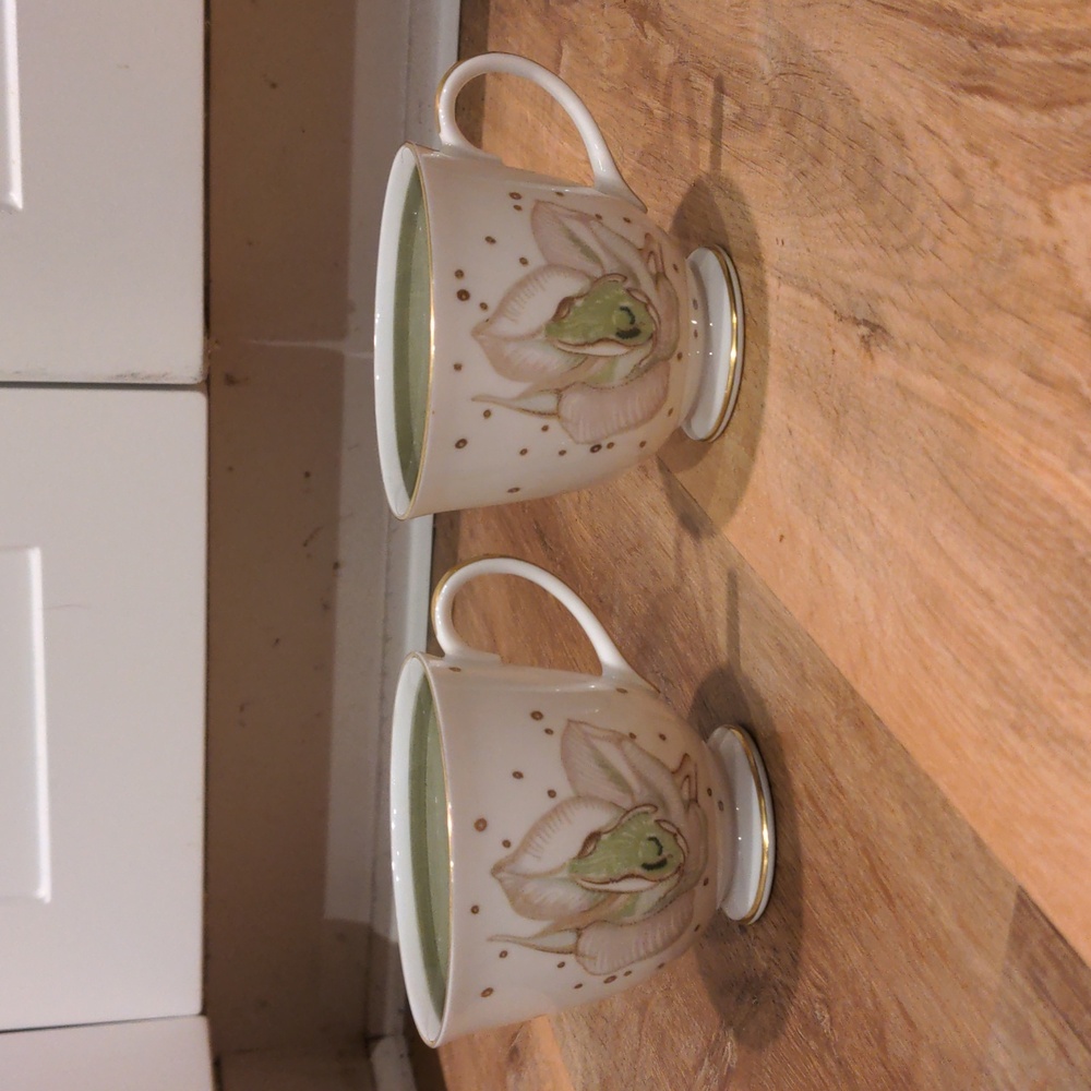 two Susie Cooper‎ magnolia bone china Floral Porcelain Teacups with Gold Accents